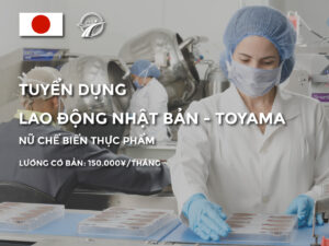 xuất khẩu lao động nhật bản nữ